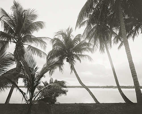 Lake Sunset - The Vintage Collection