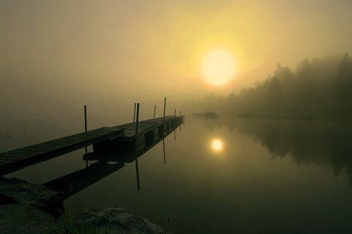 Dream Pool - Andreas Stridsberg