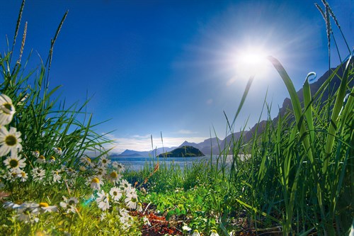 Fresh Light - Andreas Stridsberg