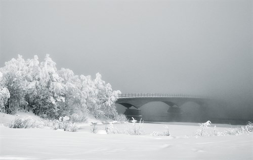 Bridge of Wonder - Andreas Stridsberg