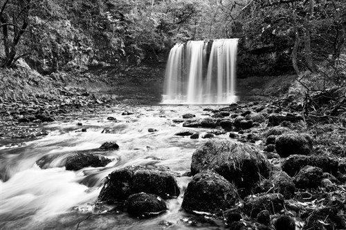 Woodland Waterfall - Joseph Eta