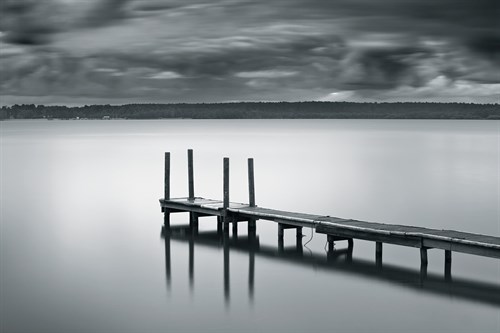 Still - Joseph Eta