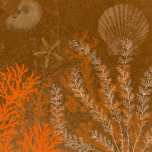 Coral Garden II - Max Carter