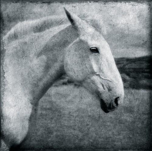 Knight's Steed - Pete Kelly