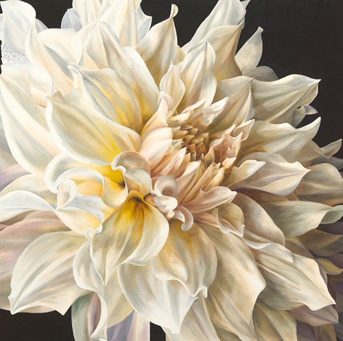 White Light - Sarah Caswell