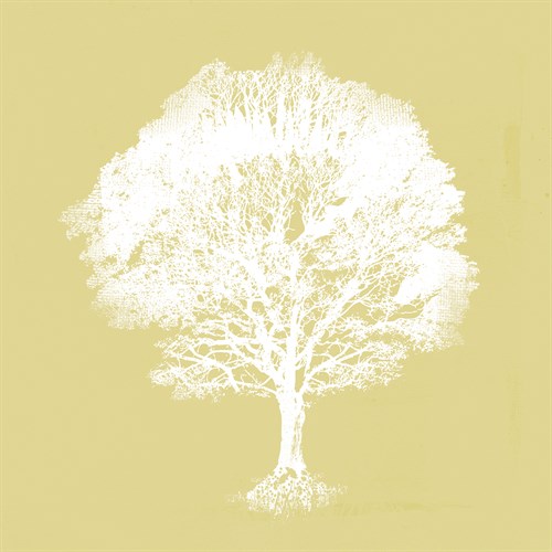 Dream Tree I - Ken Hurd