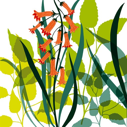 Flower Applique II - Laure Girardin Vissian