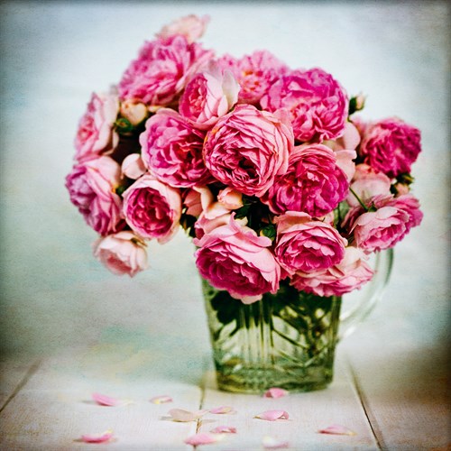 Pink Elegance I - James Guilliam