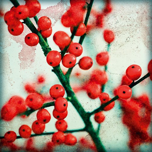 Ilex I - James Guilliam