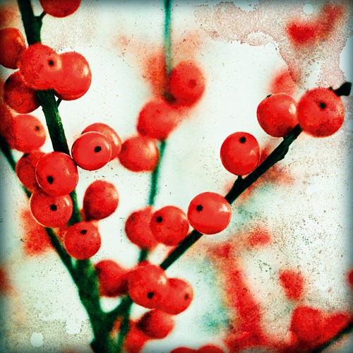 Ilex II - James Guilliam