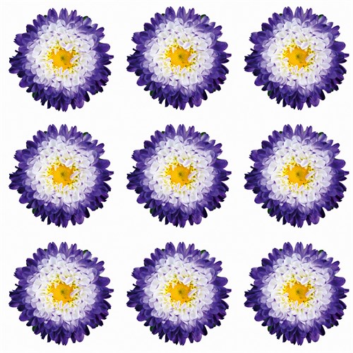 Polka Flowers I - James Guilliam