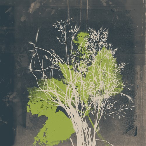 Natures Harmony VII - Ken Hurd