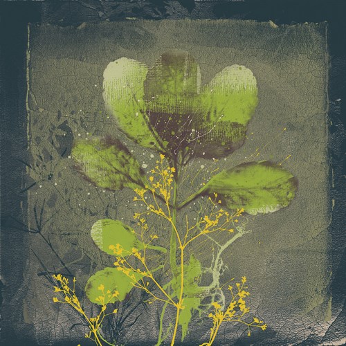 Natures Harmony VIII - Ken Hurd