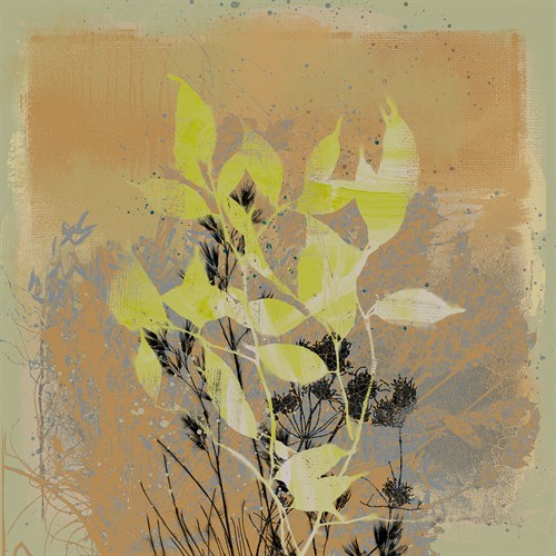 Natures Harmony III - Ken Hurd