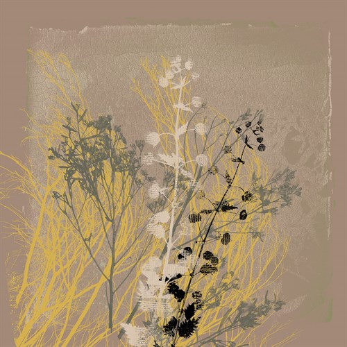 Natures Harmony VI - Ken Hurd