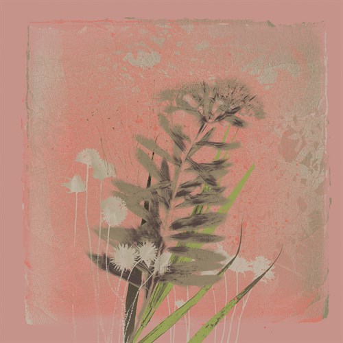 Natures Harmony IV - Ken Hurd
