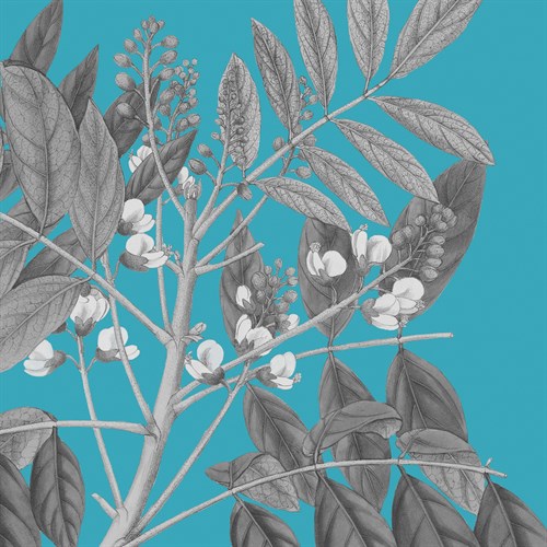 Botaniska II - Maria Mendez