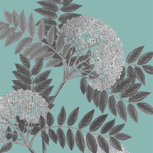 Botaniska III - Maria Mendez