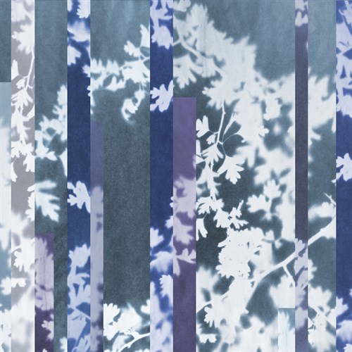 Oriental Thorn - Sarah Cheyne