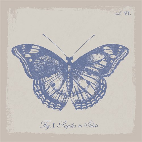 Summer Wings I - The Vintage Collection