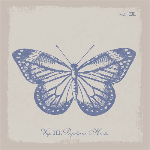 Summer Wings III - The Vintage Collection