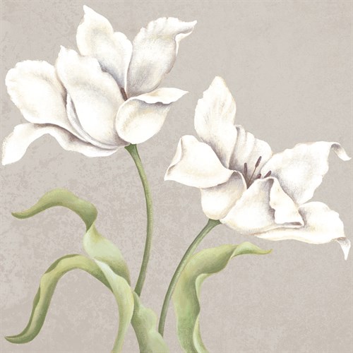 Soft Tulip I - Ellen Hudson