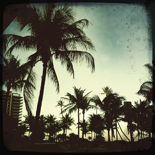 Miami Vintage I - Tony Koukos