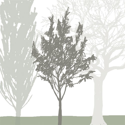 Treeline Trio - Sarah Cheyne