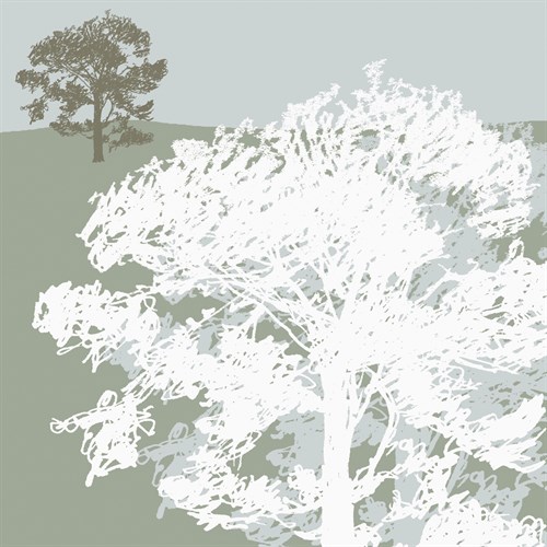 Treeline Sycamore - Sarah Cheyne