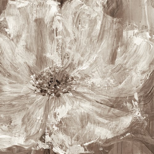 Confetti Bloom I - Philip Brown