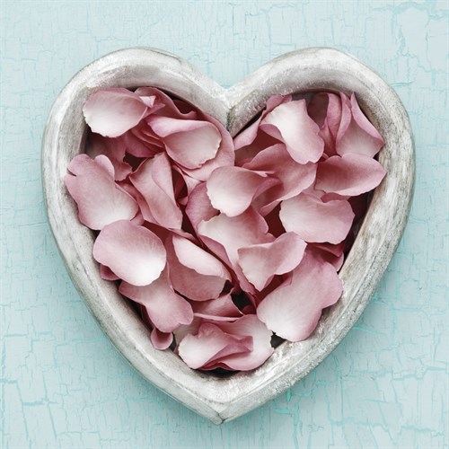 Romance II - James Guilliam