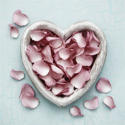 Romance III - James Guilliam