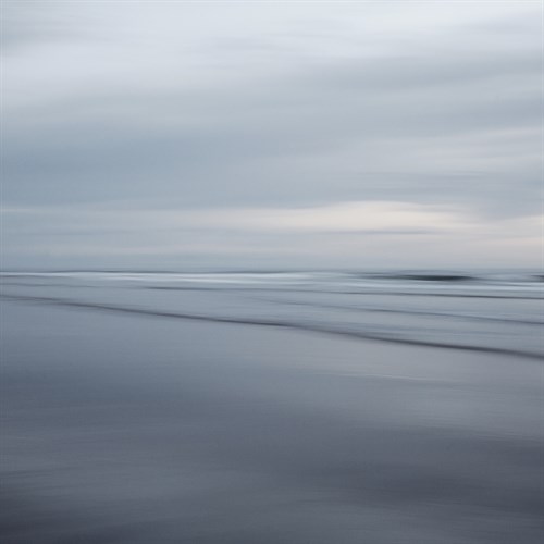 Still - Irene Suchocki