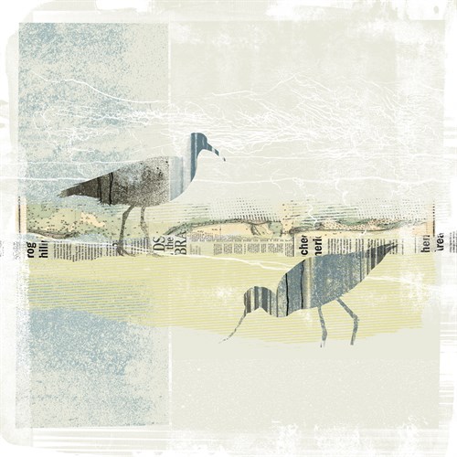 Coastal Birds I - Ken Hurd