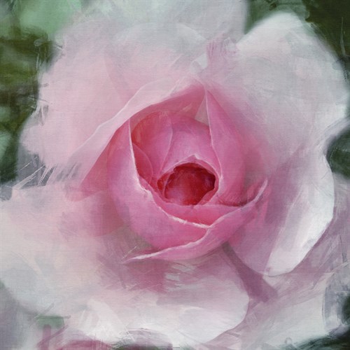 Elegant Bloom I - Malcolm Sanders