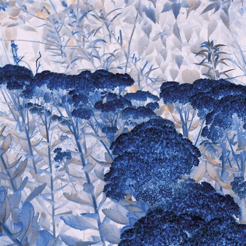 Ultraviolet I - Sukhanlee