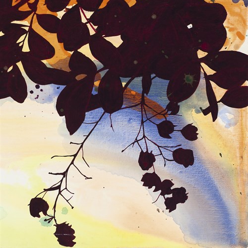 Laced Straw Well - Detail II - Jackie Battenfield