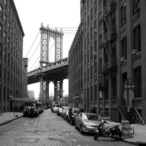 Bridge Vista - Tony Koukos