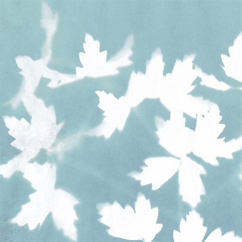 Glade I - Sarah Cheyne