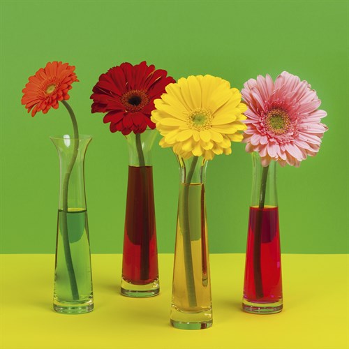 Floral Pop II - Camille Soulayrol