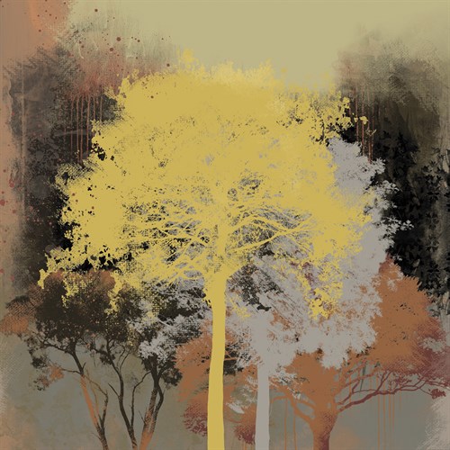 Forest Glow I - Ken Hurd
