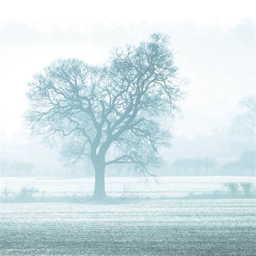 Misty Meadow II - Ella Lancaster