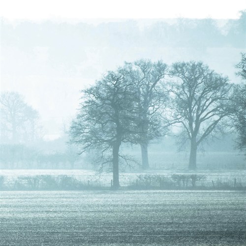 Misty Meadow III - Ella Lancaster