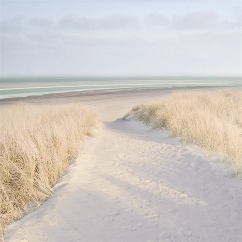 Fresh Breeze - Adam Brock