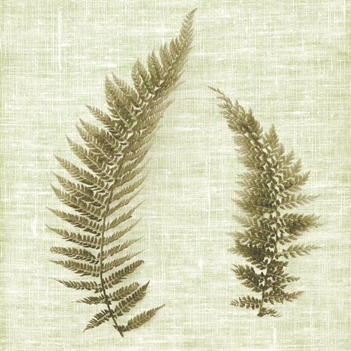 Filigree II - John Harper