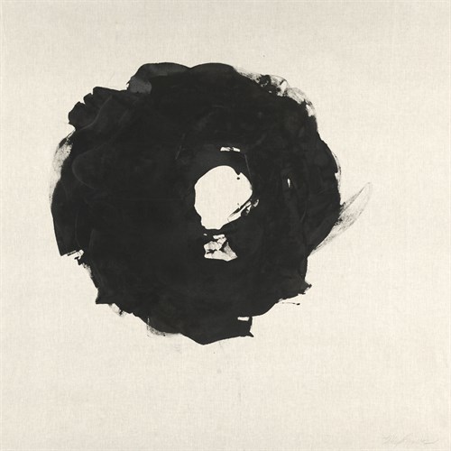 Folliculos - Kelly Rogers