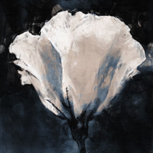 Lisianthus Sketch - Malcolm Sanders