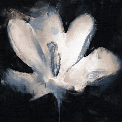 Crocus Sketch - Malcolm Sanders