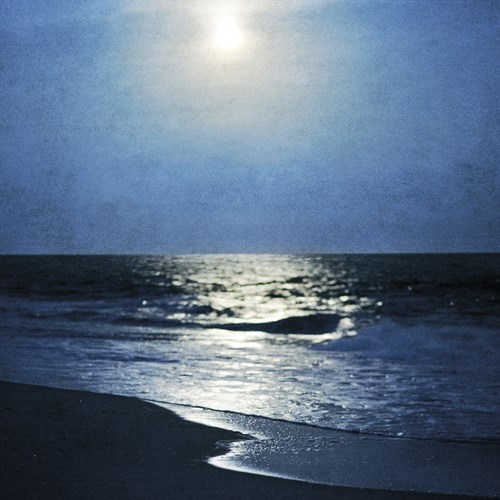 Moonlit Seas - Detail - Pete Kelly