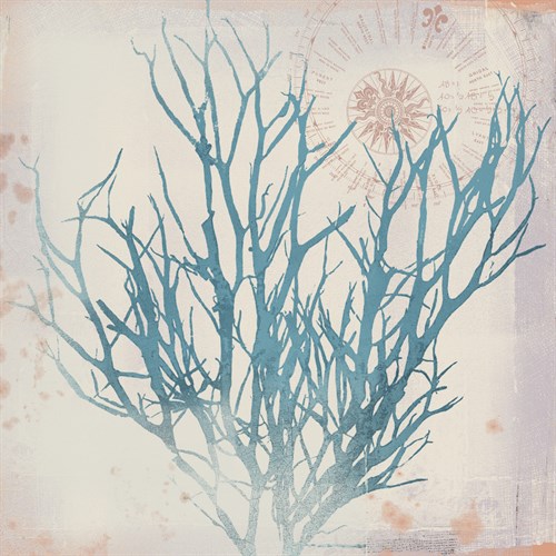 Oceanus Botanica - Ken Hurd